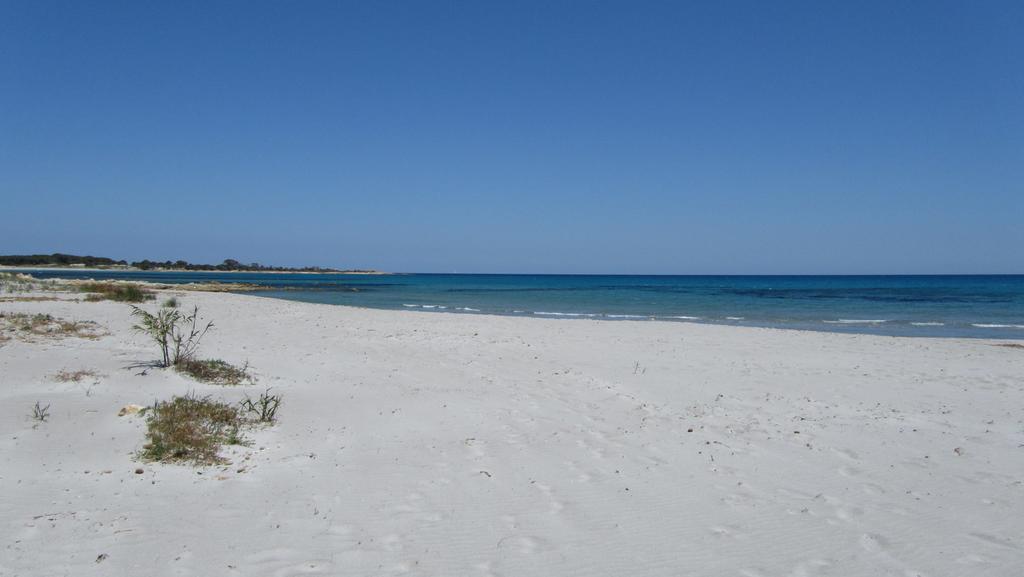 La Corte Degli Ulivi Appartamenti Cala Liberotto Værelse billede